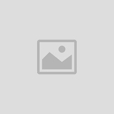 Adult Entertainment Services